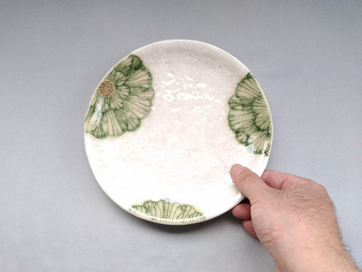 White Slip Peony 6.5-Sun Round Plate Green - Crafted By Yoshihei Kato