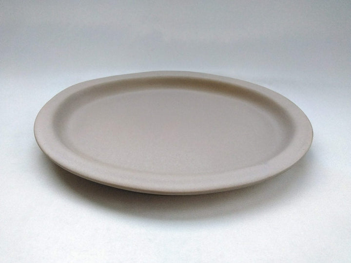 Color Matte Oval Plate L Gray - Crafted By Takuya Ohara