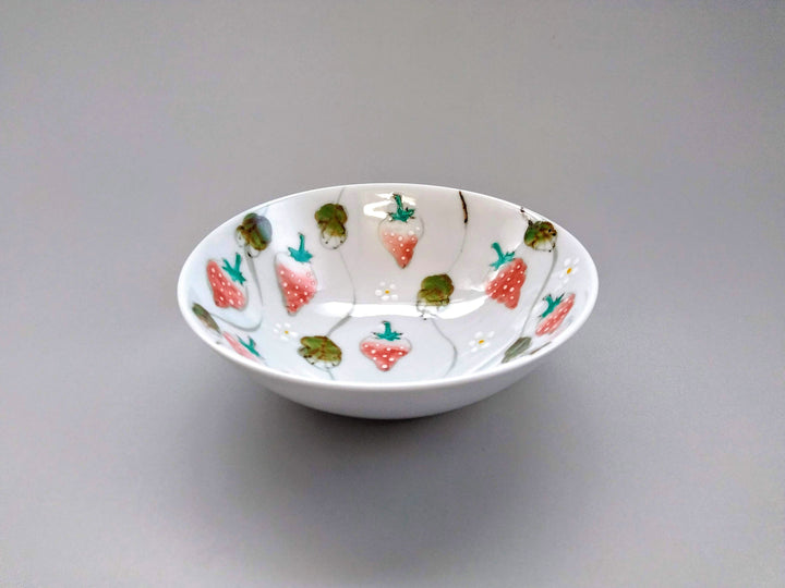 Watercolor Strawberry Flat Bowl - Crafted By Tokushichi Kiln