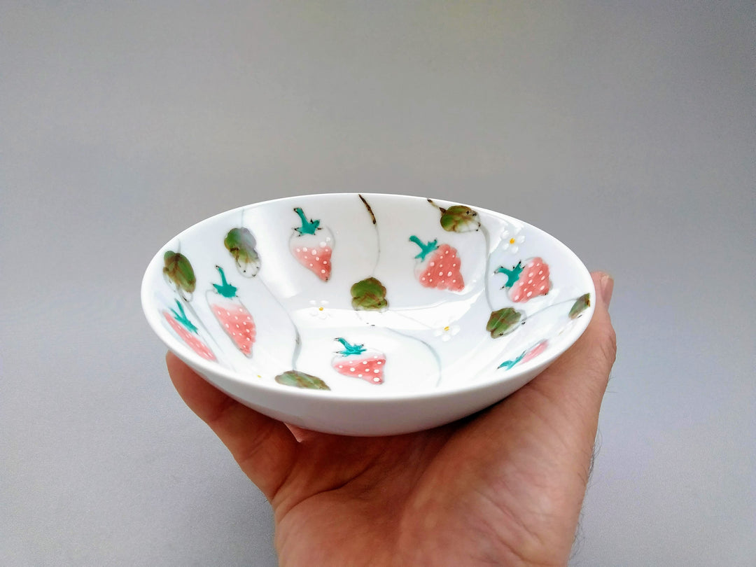 Watercolor Strawberry Flat Bowl - Crafted By Tokushichi Kiln